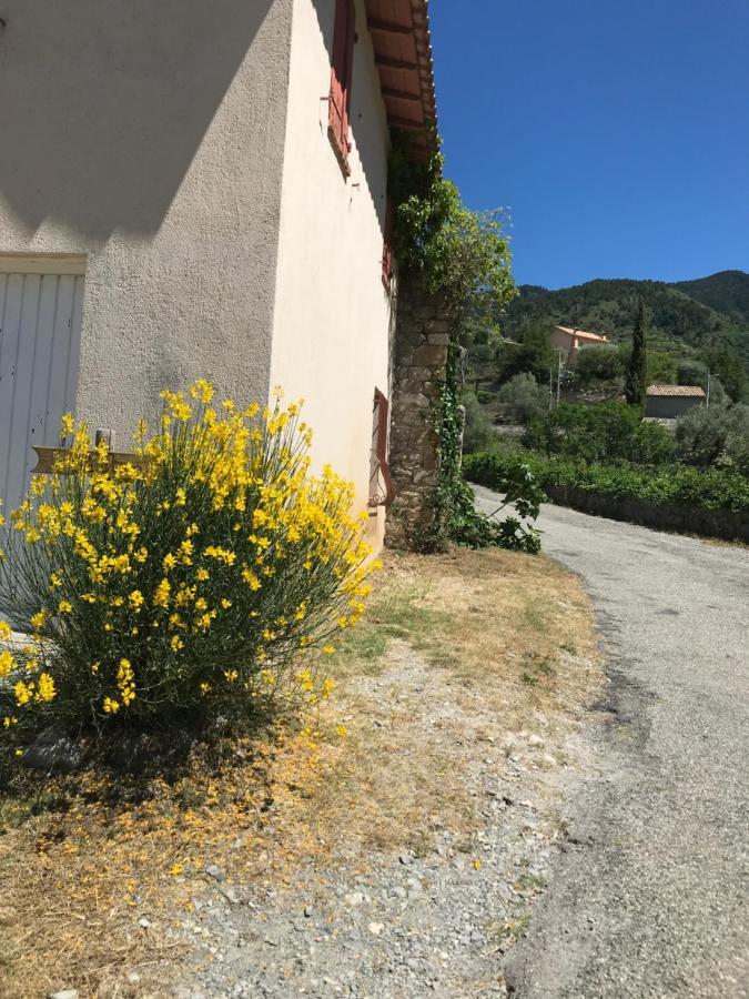 La Ferme Des Cailletiers Chez Marco Villa Lucéram Екстериор снимка