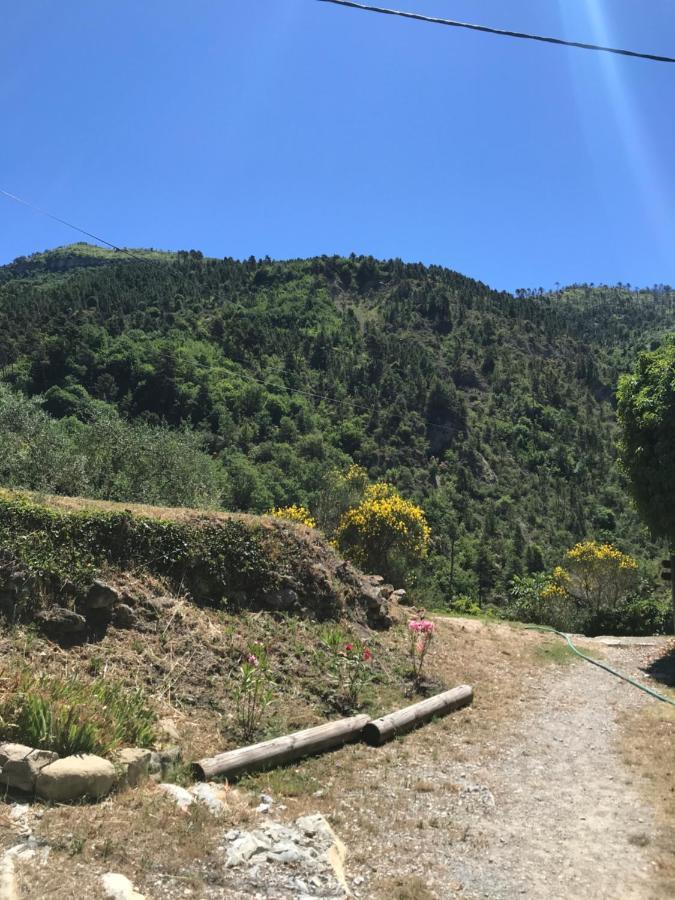 La Ferme Des Cailletiers Chez Marco Villa Lucéram Екстериор снимка