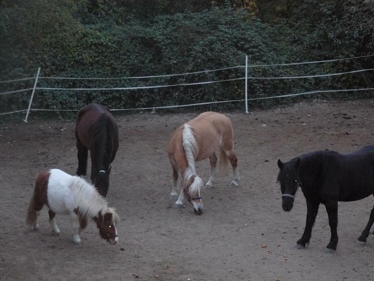 La Ferme Des Cailletiers Chez Marco Villa Lucéram Екстериор снимка